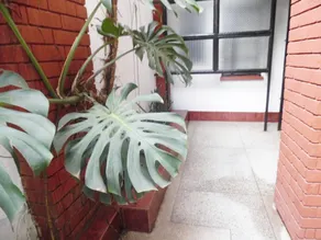 1 bedroom apartments Samra O - Image 4