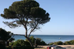 MORNINGTON BEACH APARTAMENTO # 5: em frente à praia, com excelentes vistas. - Image 4