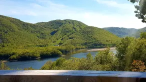 CHRISTIE'S SMOKEY MOUNTAIN COTTAGE - Image 5