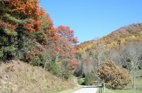 Nantahala Spiritual Retreat - Remote and Peaceful! - Image 4