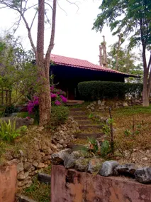 Tafelberg detached bungalow with swimming pool - Image 4
