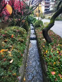 Gaishöll Waterfalls Apartment Black Forest - Image 3