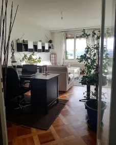 Cozy apartment in Petit-lancy (Geneva) - Image 4