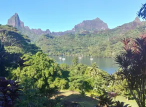 Opunohu Bay View Fare - Image 3