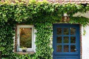 Cottage and meadow - Image 4