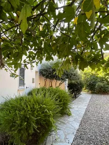 Villa in the heart of Erbalunga perfect for your holidays!! - Image 3