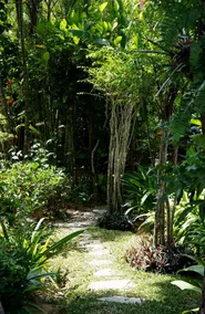 Nakawanna Villa - Image 2