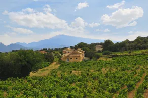Chambres d'Hôtes et Gîtes Le Mas Mellou - Image 5