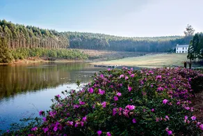 Glenogle Farm - Image 3