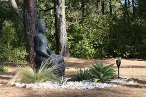 House among the pines - Image 4