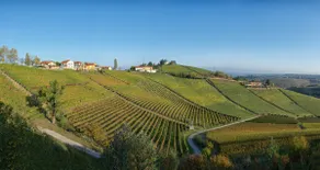 Montestefano Paradise - Villa with view - Image 3