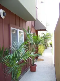Gorgeous Coronado Condo - Image 3