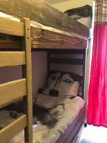 Alpe d'Huez, price for mini pretty studio, 4 beds - Image 4