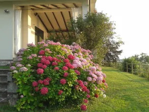 Villa Valeriana a Sulzano e l'incantevole vista del lago. SELF CHECK-IN - Image 5