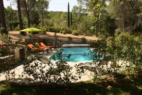 House among the pines - Image 3