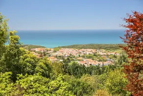 Una casa nel bosco - Image 3
