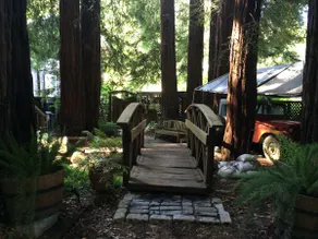 Relax in Fairfax quiet cottage in the redwoods. - Image 4