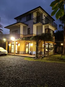 Yavin B&B (with KTV, electric mahjong table, Nintendo switch), barbecue, kitchen - Image 3