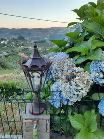 King's House Douro Valley - Image 3