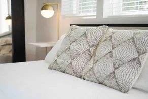 Mid-Century Townhome Downtown - on Market - Image 3