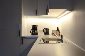 Apartment Höll 1 in Abtenau - Home away from home - Image 2