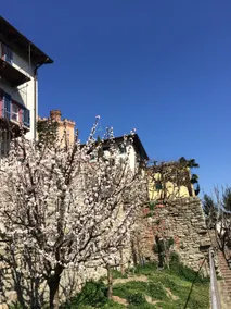 Under the Castle. Silent charm in Barolo. - Image 5