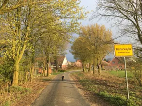 Country idyll - Image 3