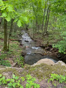 Little Cabin in the Woods is quiet and secluded! - Image 5