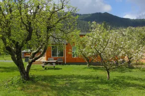 Peach Orchard Cottage - Image 2