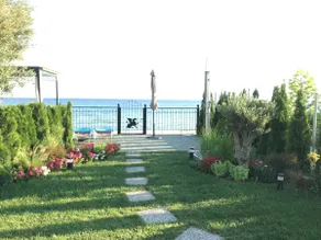 Olive house - Image 4