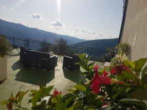 DINOABBO FARMHOUSE ULIVI APARTMENT - Image 2