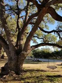 The Crumley House in the Texas Hill Country - Image 5