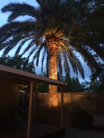 Casa Bonita - Image 4