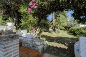 Villa Africa - Image 3