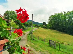 Casa di Anita - Image 2