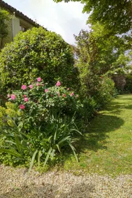 Charming base in the heart of Angouleme - Image 4
