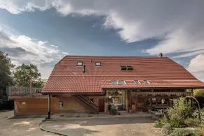 Duplex apartment at the edge of the forest - Image 2