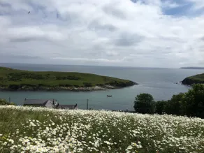 The Eagles, Sandycove, 3 mins kinsale, sleeps 25 - Image 5