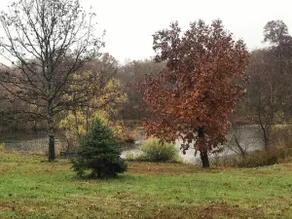 Your own rustic little part of country heaven . - Image 4