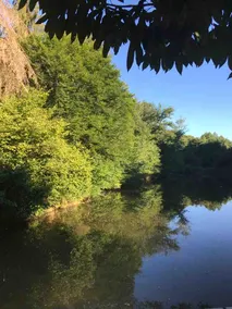 Ancient Mill with Beautiful Lake and Streams - Image 5