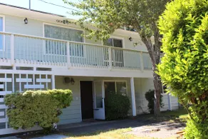 Downtown Warm House Apartment - Image 4