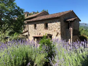 Podere Beatrice 20 Pax by VILLASRETREATS - Image 2