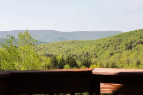 Hog Mountain House Stunning Catskill Mtn Views - Image 3