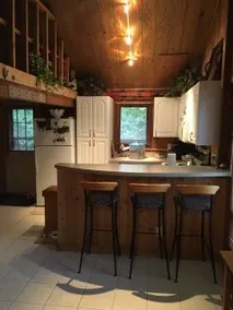 Charlevoix/Petosky Cabin - Fall Colors and Skiing! - Image 4