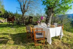 Josefina Cabin: Cozy cabin in Ancares - Image 4