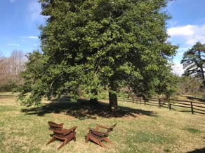 The Cottage at Eastwood Farm and Winery - Image 3