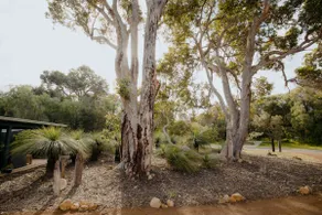 Quenda Cottage : feel at home - Image 5