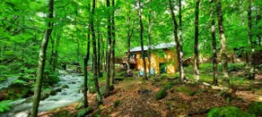 Cabin retreat just steps from adventure - Image 3