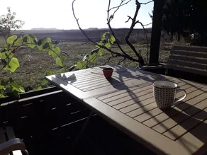 Peace and seclusion in the heart of the Uckermark - Image 4