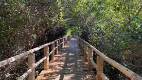 Beachfront Campeche | 3 bedrooms, sauna and pool - Image 2